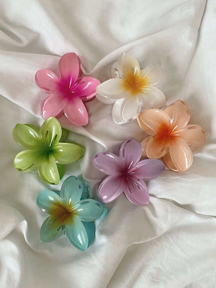 Attache Flora🌸
